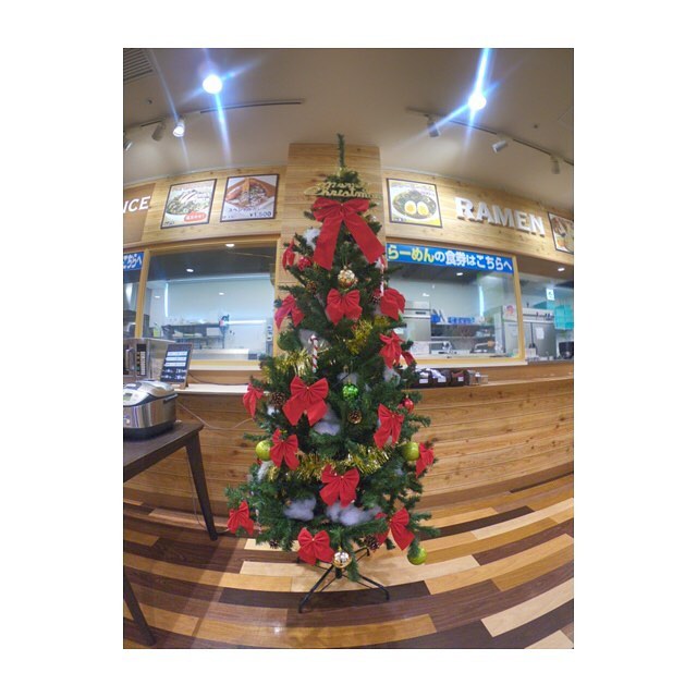 岡崎農場に巨大クリスマスツリーが登場！